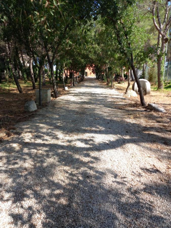 Country house Petra -