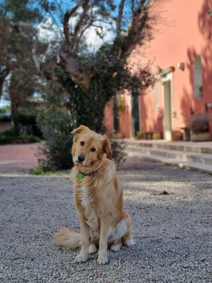 Petra - Country house Monteroni di Lecce